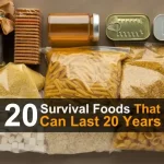 20 Survival Foods That Can Last 20 Years