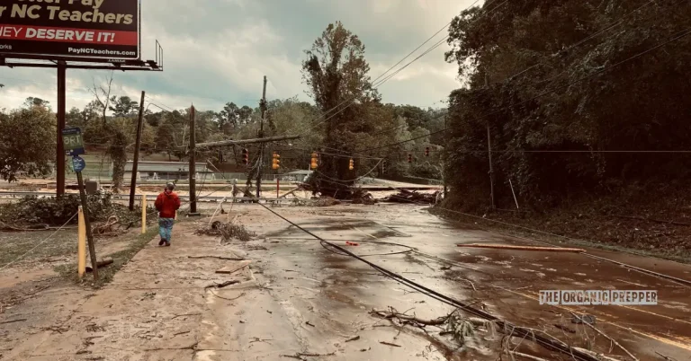 How People Are “Not Being Forced Off Their Land” in WNC