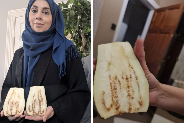 Lying Wonders: Muslim Woman In UK Overjoyed At “Finding Allah” In An Aubergine