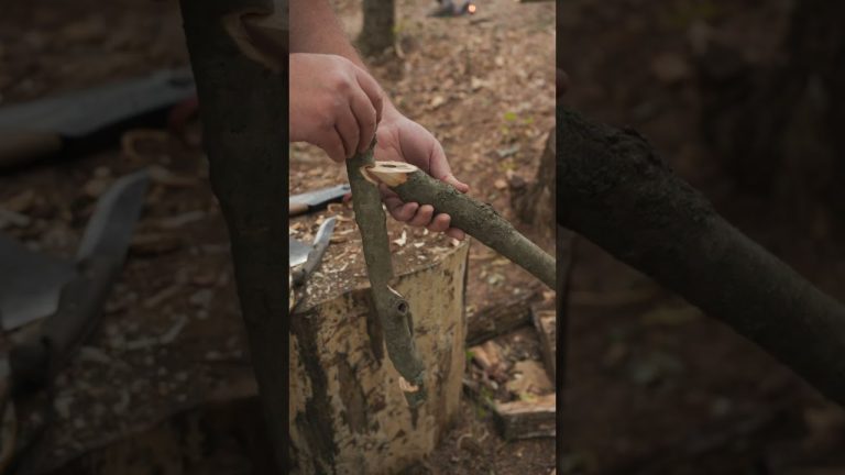 SIMPLE Bushcraft Skill ?? #survival #camping #bushcraft